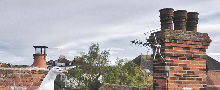 Chimney Cleaning And Restoration in Hays, Kansas